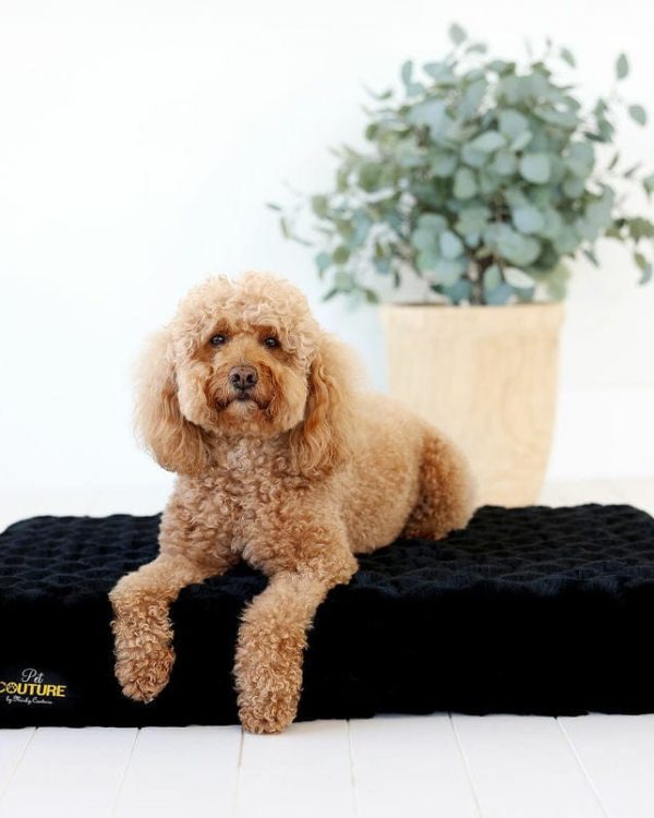 Black Crinkle Pet Crate Pad