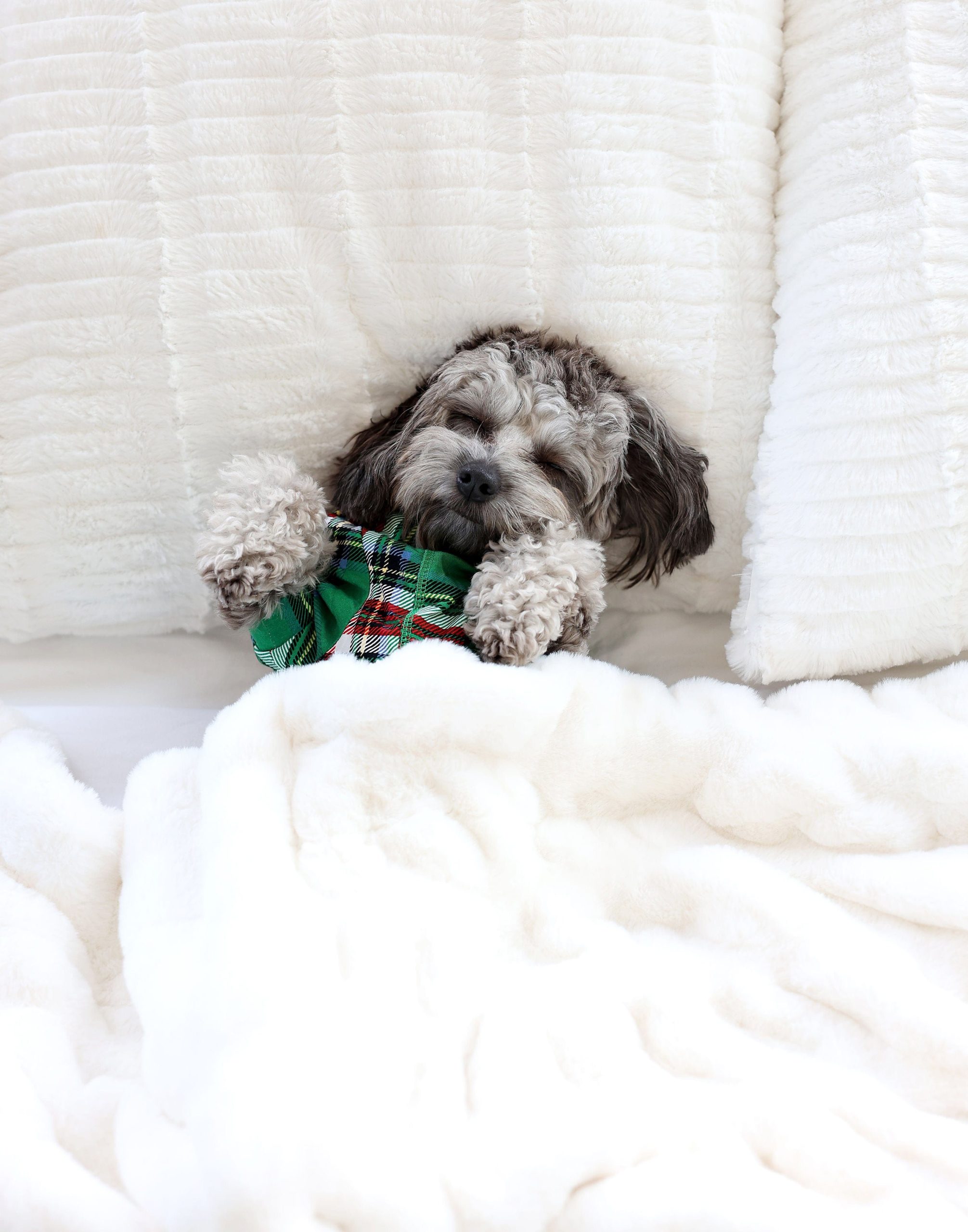 Pet Pajamas - Christmas Plaid Green - Image 3