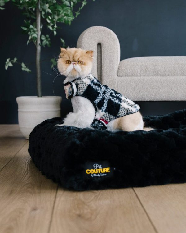 Pet Vest - City Plaid/Cream