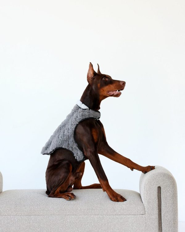 Pet Vest - Dark/Light Gray