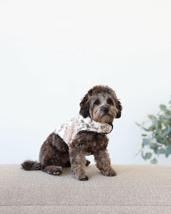 Pet Vest - Sandra/Light Gray
