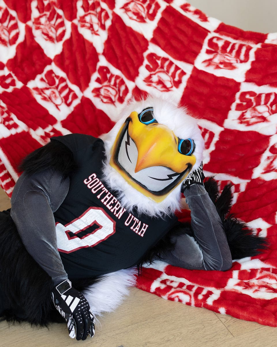 Southern Utah Thunderbirds Blanket - Hugs - Image 3