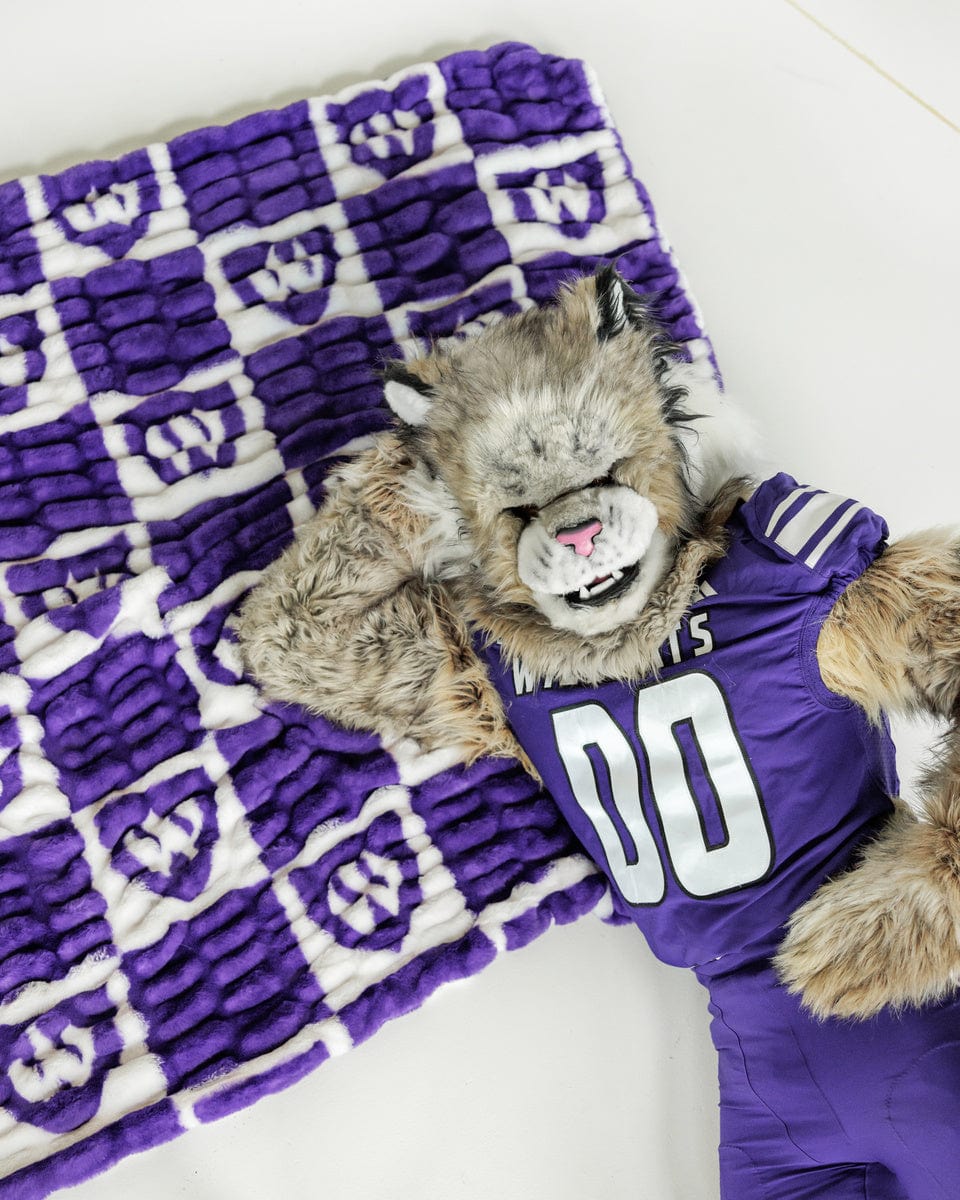 Weber State Wildcats Blanket - Hugs - Image 2
