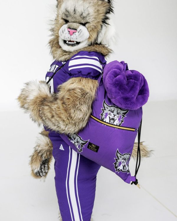 Weber State Wildcats Hooded Stadium Blanket - Everywhere Blanket